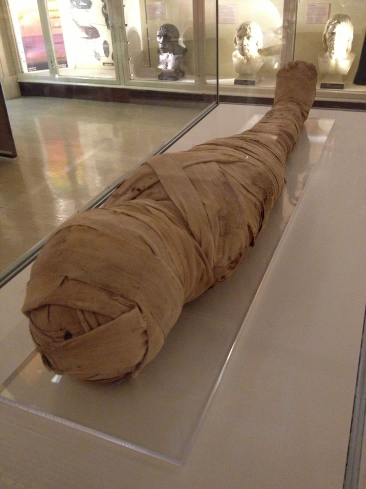 Mummy of a child from Ancient Egypt (Around 300 BC) Warrington Museum